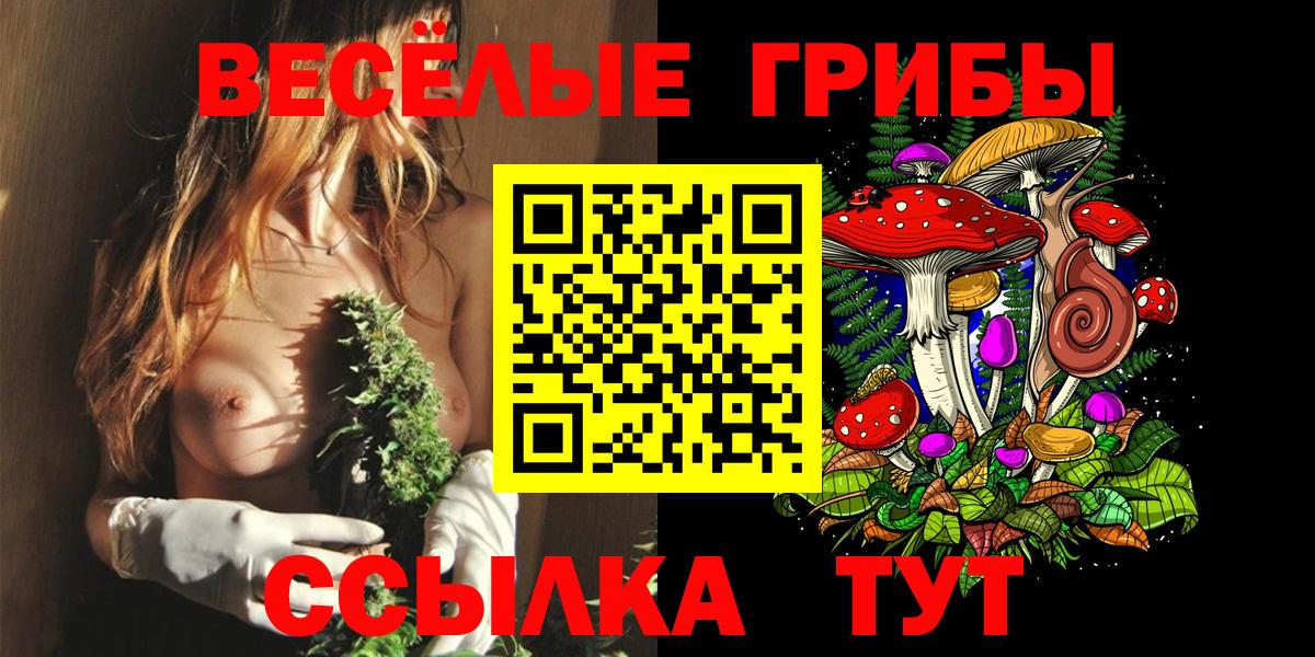 Галлюциногенные грибы MAGIC MUSHROOMS  где найти   Вход с VPN  Вичуга  Галлюциногенные грибы Magic Shrooms 