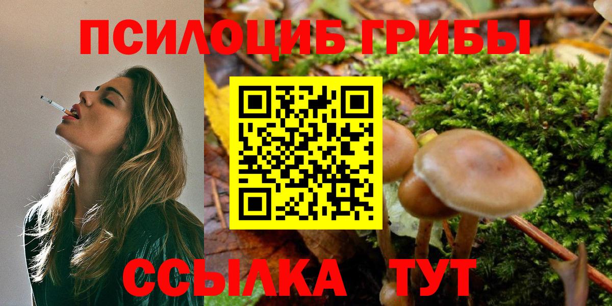 Псилоцибиновые грибы Cubensis Вичуга